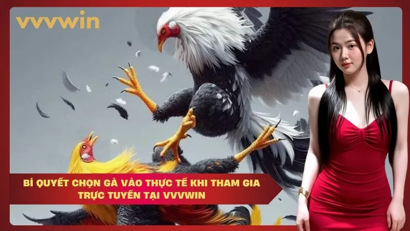 bí quyết chọn gà vào thực tế khi tham gia trực tuyến tại VVVWIN