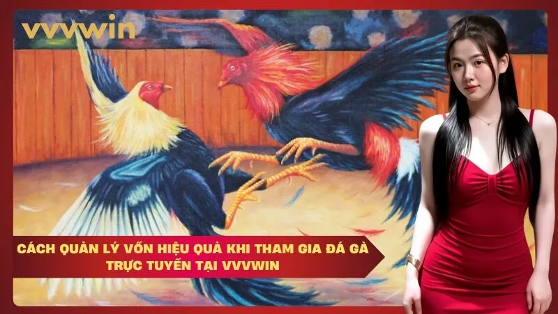 Cách quản lý vốn hiệu quả khi tham gia đá gà trực tuyến tại  VVVWIN