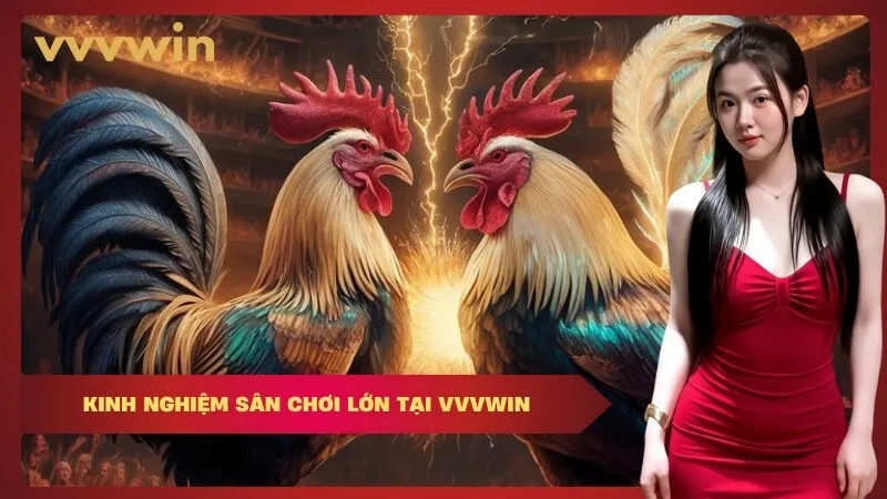 vvvwin Kinh Nghiệm Sân Chơi Lớn Tại VVVWIN