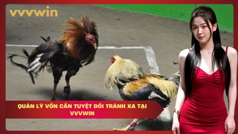 Quản Lý Vốn Cần Tuyệt Đối Tránh Xa Tại VVVWIN