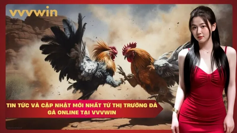 Tin tức và cập nhật mới nhất từ thị trường đá gà online tại VVVWIN